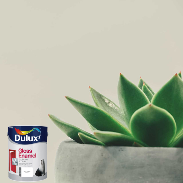 Soft Natural - Gloss Enamel